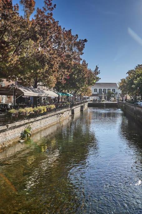 Zen A L Isle Apartment L'Isle-sur-la-Sorgue Bagian luar foto